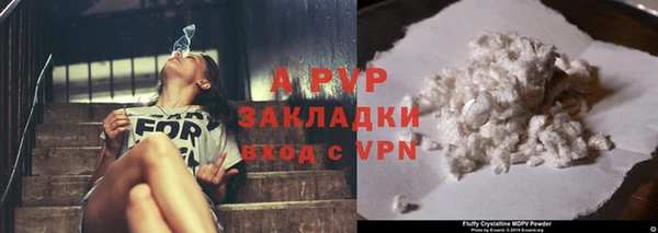 mdpv Богданович