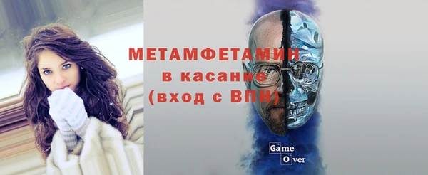 шишки Струнино